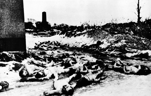 Трупи на єврейському кладовищі. Львів, 1941 р.